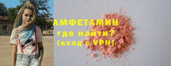 шишки Нея