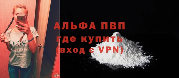 шишки Нея