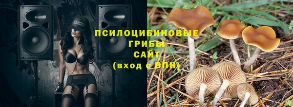 шишки Нея