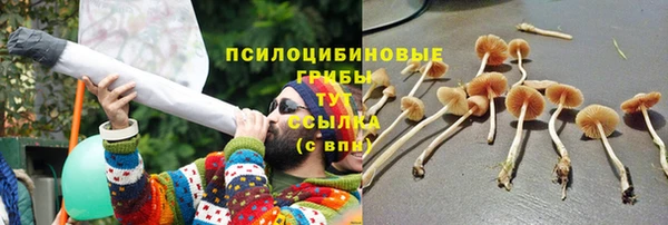 шишки Нея