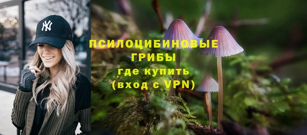 шишки Нея